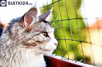 Siatki Siedlce - Siatka na balkony dla kota i zabezpieczenie dzieci dla terenów Siedlce