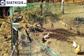 Siatki Siedlce - Siatka na woliery - zabezpieczenia ptaków w hodowli dla terenów Siedlce